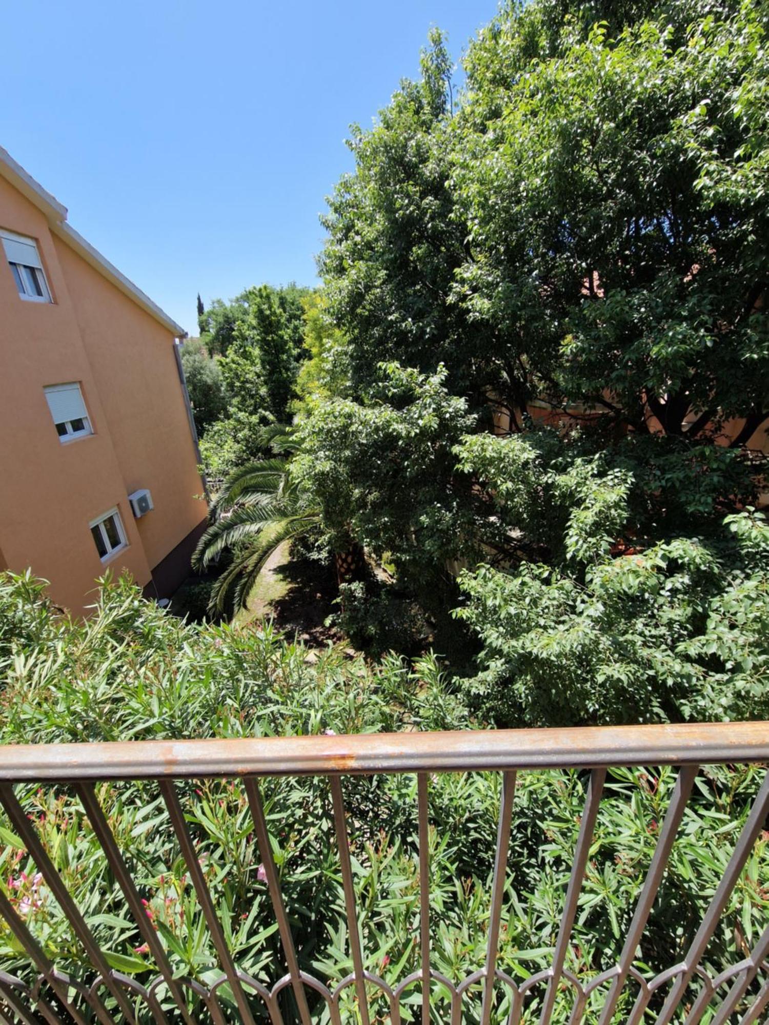Guest house Damjana 3*